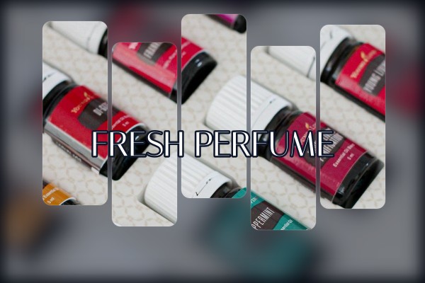 fresh perfume