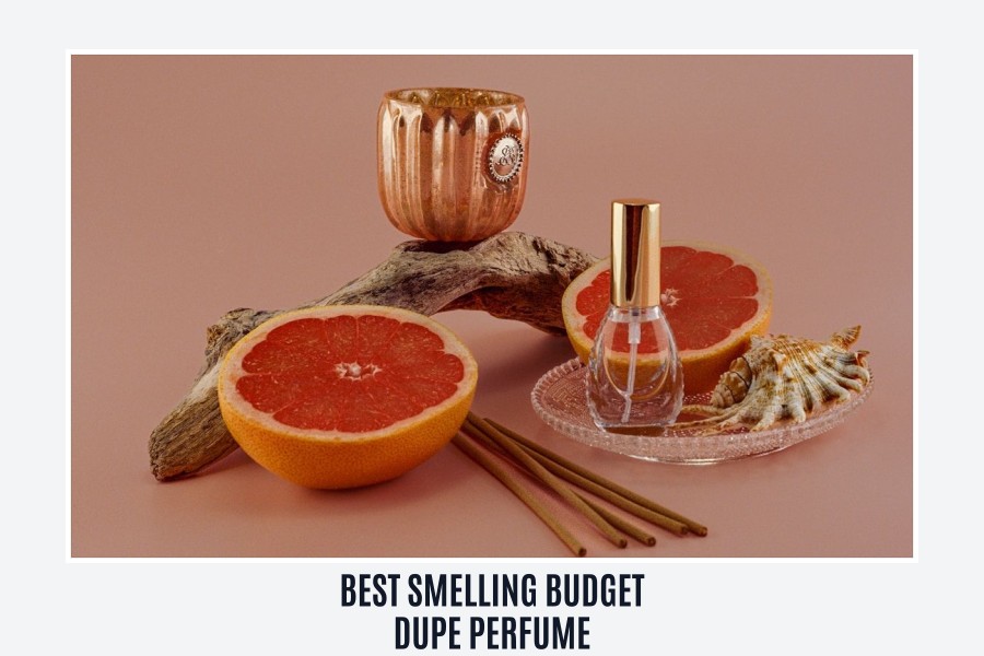 best smelling budget dupe perfume