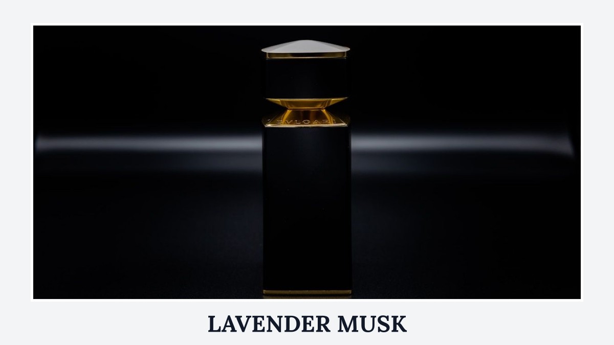 lavender musk