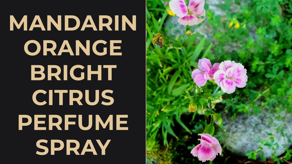 mandarin orange bright citrus perfume spray