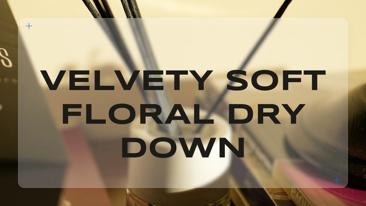 velvety soft floral dry down