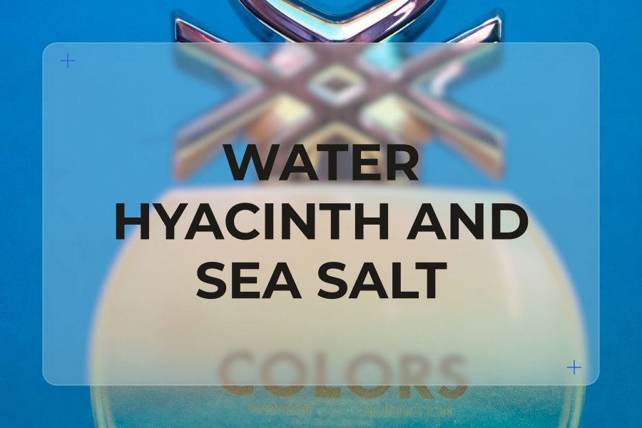 water hyacinth and sea salt